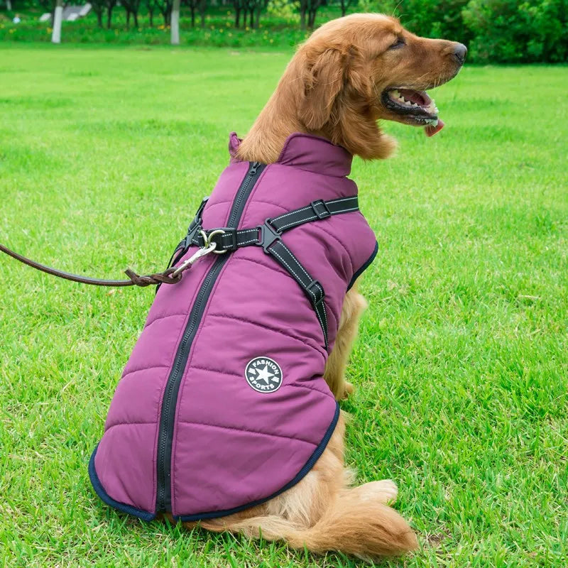 DoggyKings™ 3 in 1 Jacket