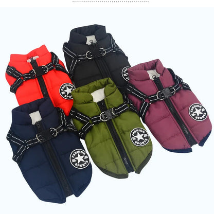 DoggyKings™ 3 in 1 Jacket