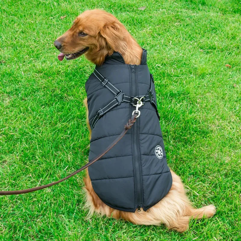 DoggyKings™ 3 in 1 Jacket