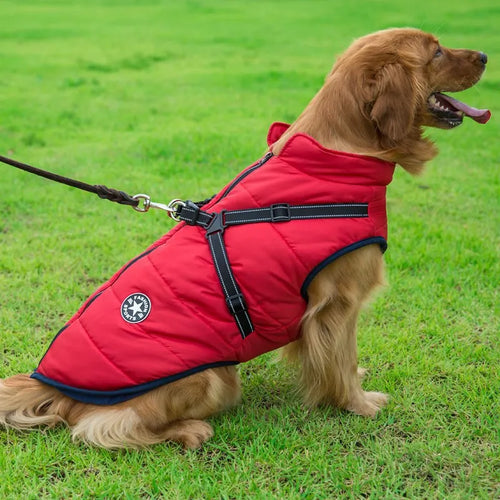 DoggyKings™ 3 in 1 Jacket