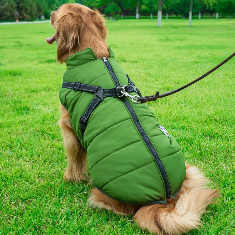 DoggyKings™ 3 in 1 Jacket